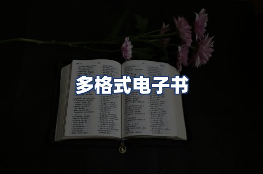 多格式电子书